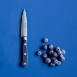 Wusthof Classic 3.5" Wild Blueberry Paring Knife -Zwilling Shop clc wb mood top 09 lq 4to3 Copy