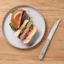Wusthof Gourmet 4 Piece Steak Knife Set With Grey Handles -Zwilling Shop gm g mood top 20 pt 3to4 1